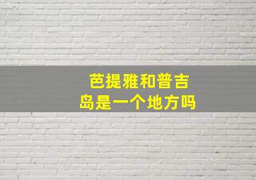 芭提雅和普吉岛是一个地方吗