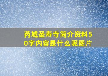 芮城圣寿寺简介资料50字内容是什么呢图片