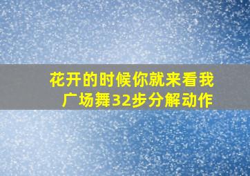 花开的时候你就来看我广场舞32步分解动作