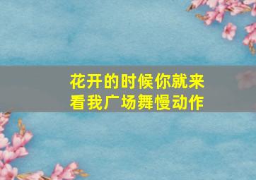 花开的时候你就来看我广场舞慢动作