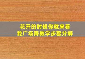 花开的时候你就来看我广场舞教学步骤分解