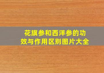 花旗参和西洋参的功效与作用区别图片大全