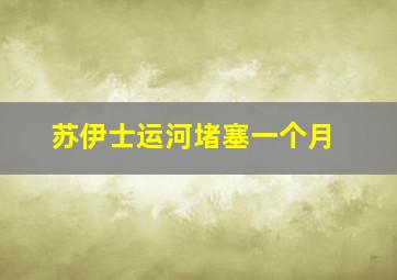 苏伊士运河堵塞一个月