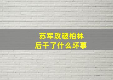 苏军攻破柏林后干了什么坏事