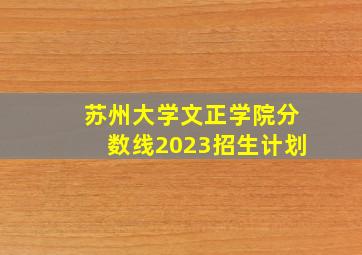 苏州大学文正学院分数线2023招生计划