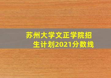 苏州大学文正学院招生计划2021分数线