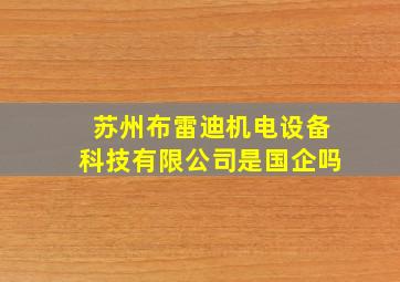 苏州布雷迪机电设备科技有限公司是国企吗