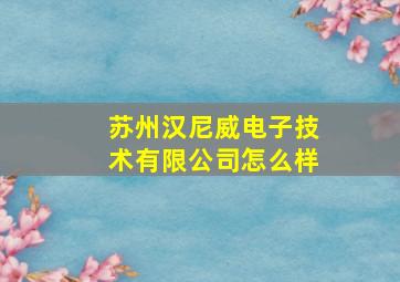 苏州汉尼威电子技术有限公司怎么样