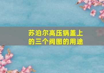 苏泊尔高压锅盖上的三个阀图的用途