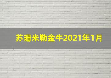 苏珊米勒金牛2021年1月