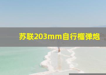 苏联203mm自行榴弹炮