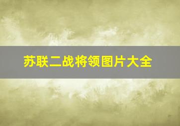 苏联二战将领图片大全