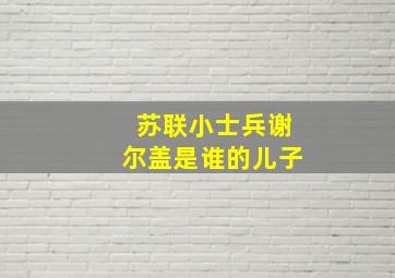 苏联小士兵谢尔盖是谁的儿子