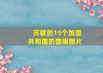 苏联的15个加盟共和国的国旗图片