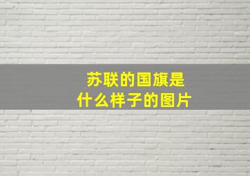 苏联的国旗是什么样子的图片