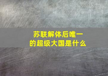 苏联解体后唯一的超级大国是什么