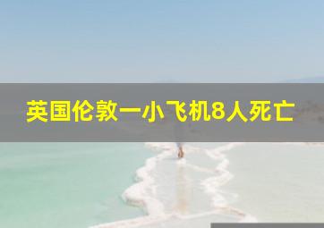 英国伦敦一小飞机8人死亡