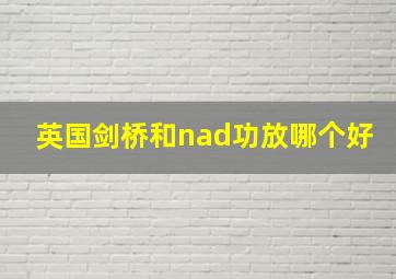 英国剑桥和nad功放哪个好