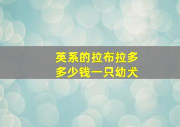 英系的拉布拉多多少钱一只幼犬