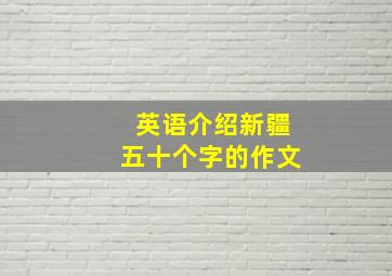 英语介绍新疆五十个字的作文