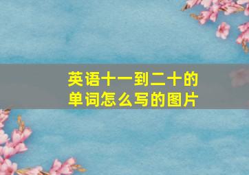 英语十一到二十的单词怎么写的图片