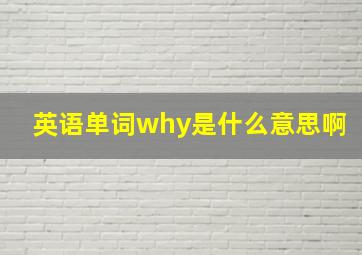 英语单词why是什么意思啊