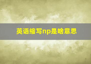 英语缩写np是啥意思