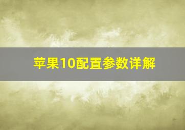 苹果10配置参数详解