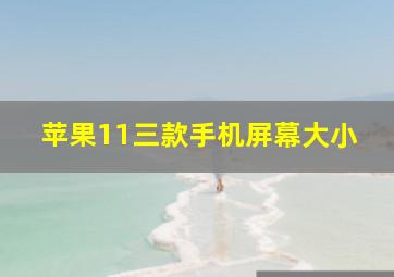 苹果11三款手机屏幕大小