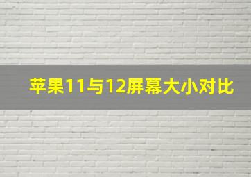 苹果11与12屏幕大小对比