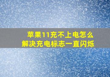 苹果11充不上电怎么解决充电标志一直闪烁