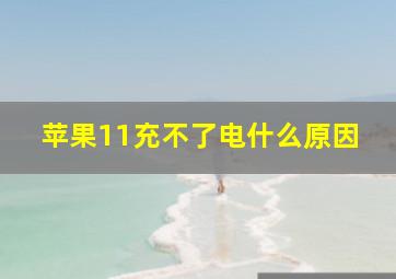 苹果11充不了电什么原因