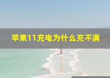 苹果11充电为什么充不满