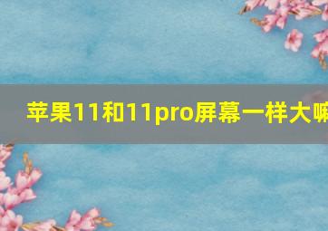 苹果11和11pro屏幕一样大嘛