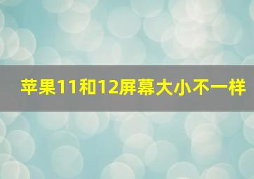 苹果11和12屏幕大小不一样