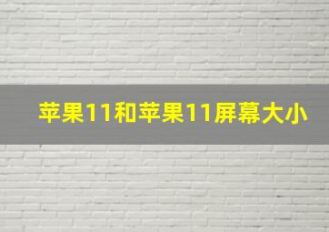 苹果11和苹果11屏幕大小