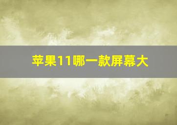 苹果11哪一款屏幕大