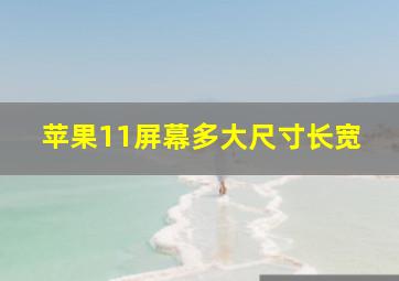 苹果11屏幕多大尺寸长宽