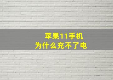 苹果11手机为什么充不了电