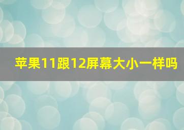 苹果11跟12屏幕大小一样吗