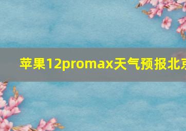 苹果12promax天气预报北京