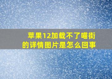 苹果12加载不了喵街的详情图片是怎么回事