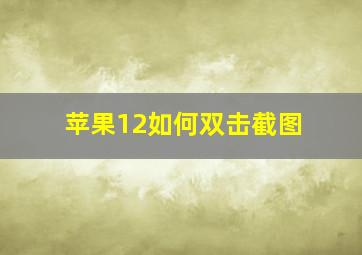 苹果12如何双击截图