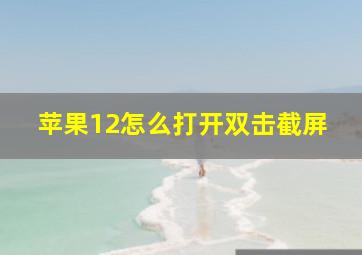 苹果12怎么打开双击截屏