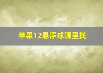 苹果12悬浮球哪里找