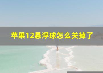 苹果12悬浮球怎么关掉了