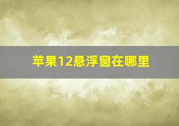 苹果12悬浮窗在哪里