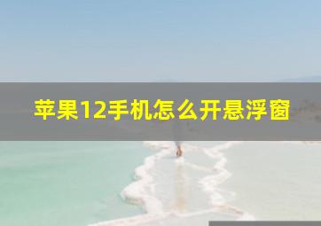 苹果12手机怎么开悬浮窗