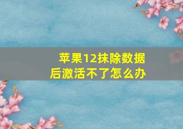 苹果12抹除数据后激活不了怎么办