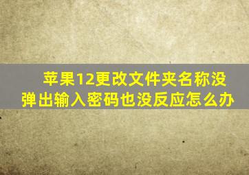 苹果12更改文件夹名称没弹出输入密码也没反应怎么办